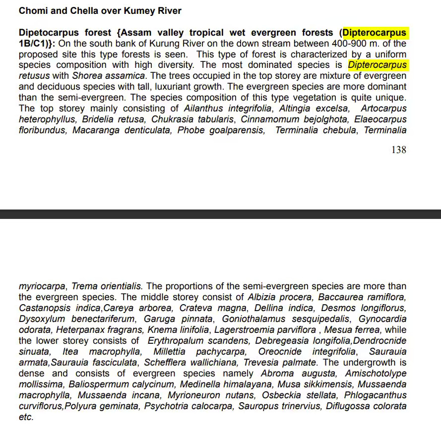藏南中部河谷的龙脑香林还是很典型的，这是印度团队最近在西巴霞曲中游库龙河流域考察