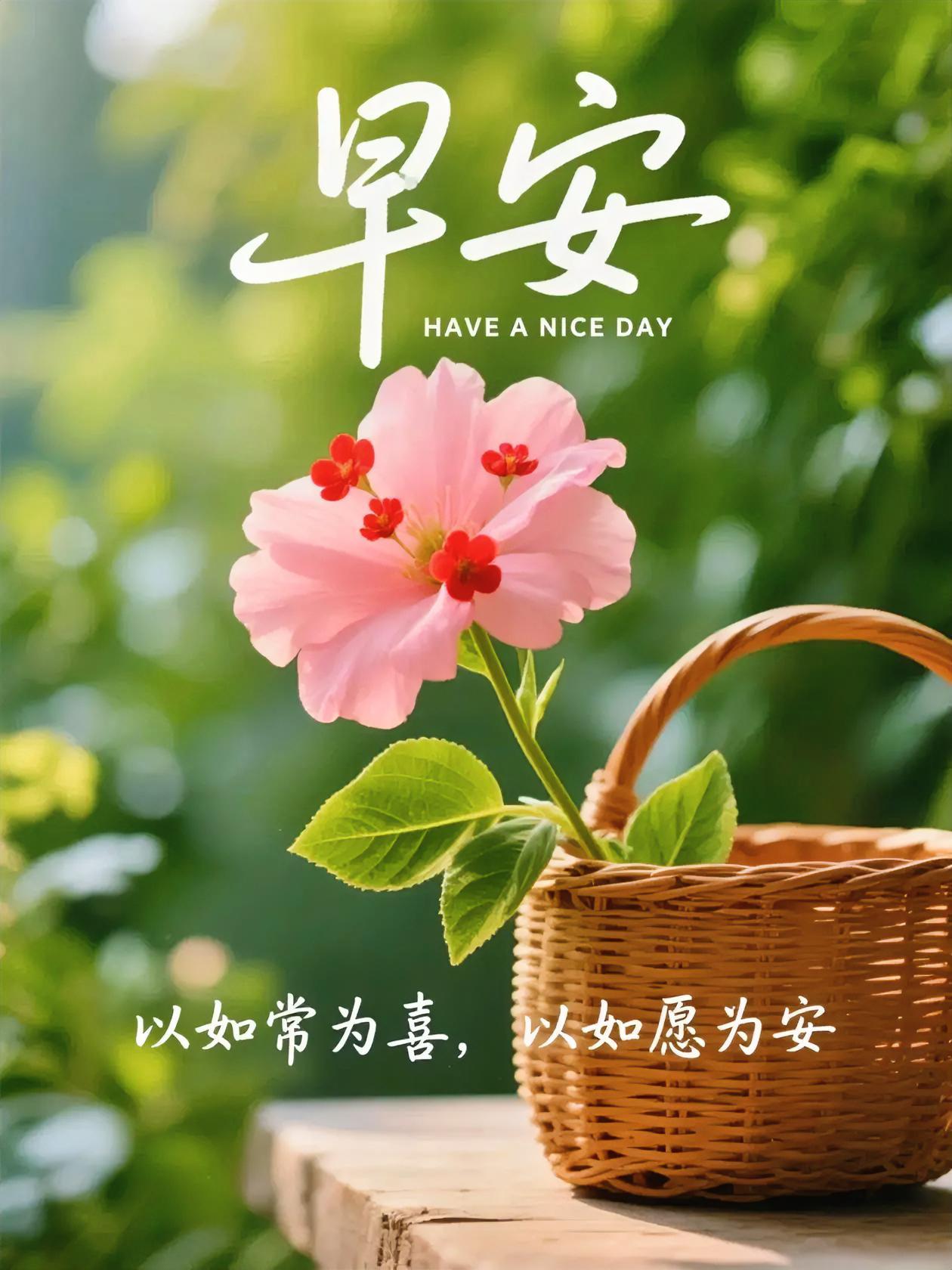 早安！粉花篮中藏温柔，以如常为喜，以如愿为安，今日份的治愈已送达～