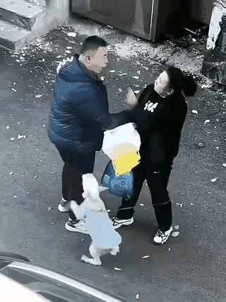 儿子打妈妈，狗狗护着妈妈，儿子使劲地踹狗狗，妈妈拼命的护着狗狗，儿子对妈妈的恨是