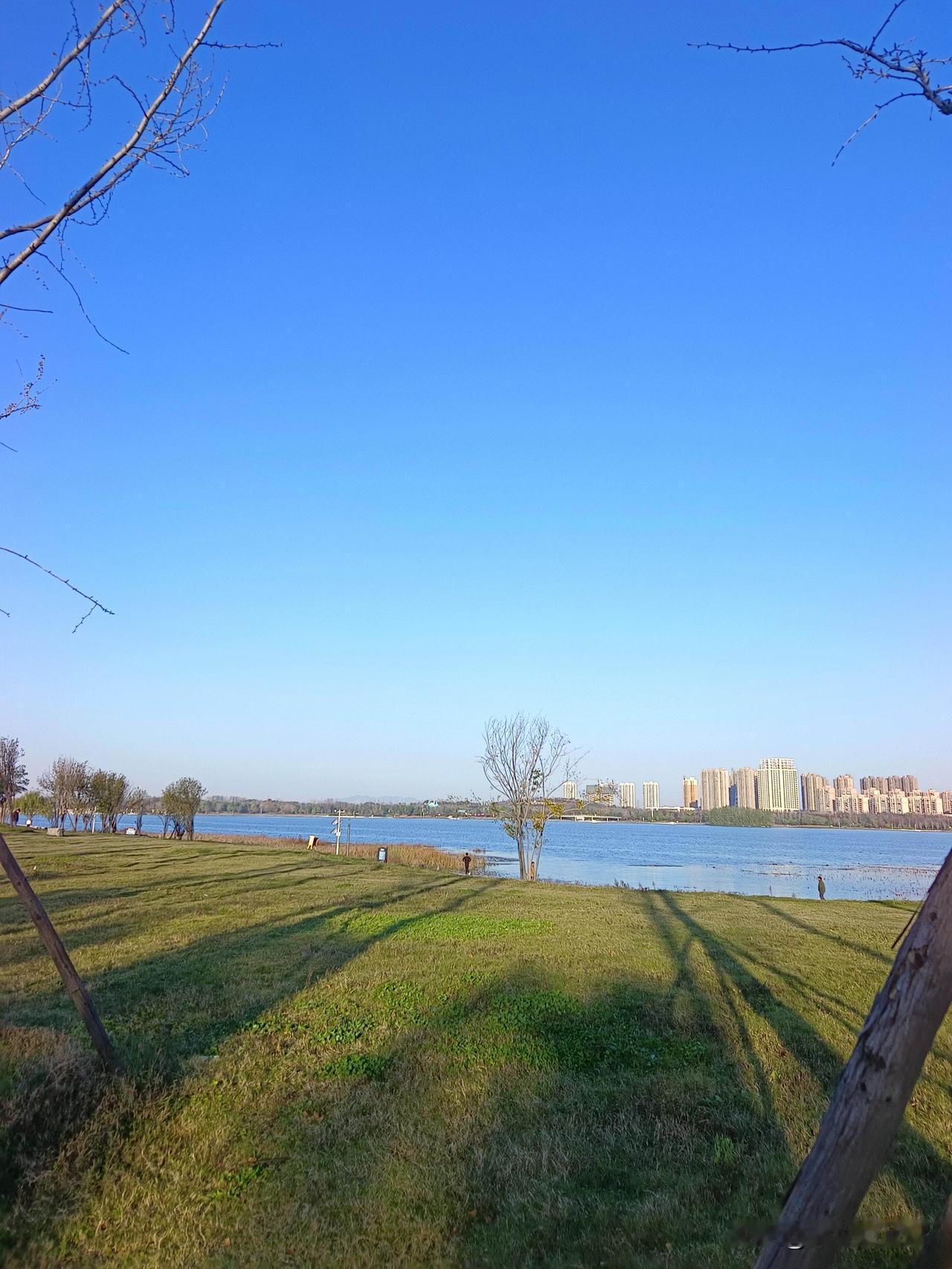 分享一份来自冬日清晨的馈赠今天早上在公园跑步时被一场光与生命的盛宴深深打