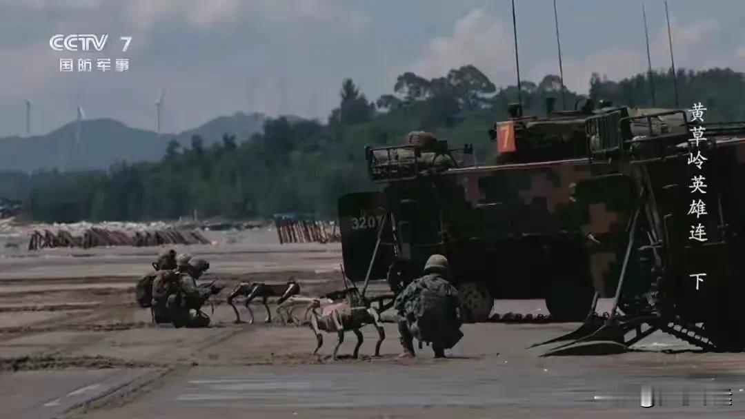 机器狼”上战场：登陆战的新帮手！最近在“黄草岭英雄连”的登陆演习中，出现了一