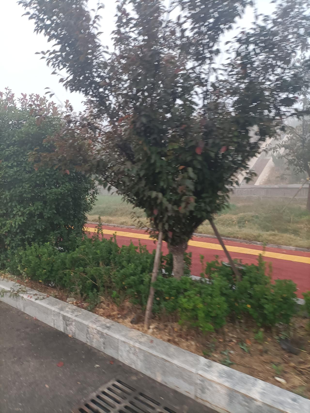 敢吃皇帝回扣的大官乾隆年间，大臣们逢皇帝寿辰都要进献宝物，皇帝也不会全收，