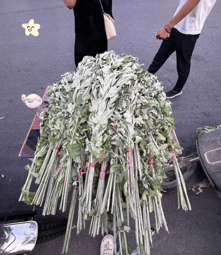失业进入第5天，我带着86捆亲手采摘的艾叶，早早来到早市。本想着一捆卖一块钱，能