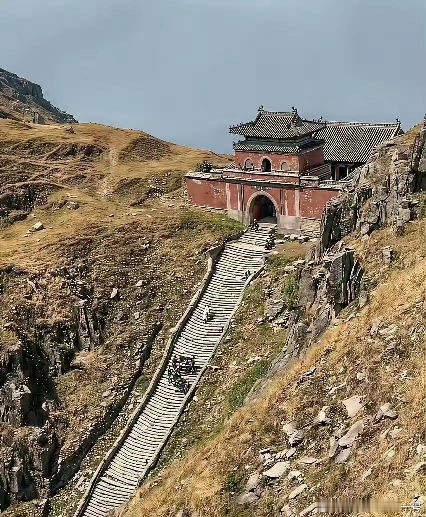 把1934年的泰山和2026年的泰山放在一起看，那时候一棵树也看不到呀。