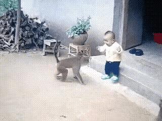 视频里的小猫勇敢地反击猴子，使小孩免遭猴子抓伤。从视频中看，我觉得这应该是个偏远