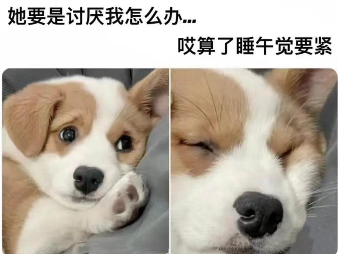 “当你被某人伤透了心但你已经有点上年纪了belike:”​​​
