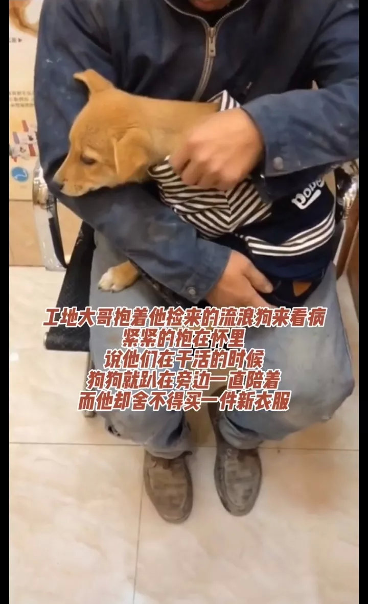 近日被一条视频暖到了，这只流浪狗出现在了工地，这位大哥在干活的时候，狗狗会一直陪