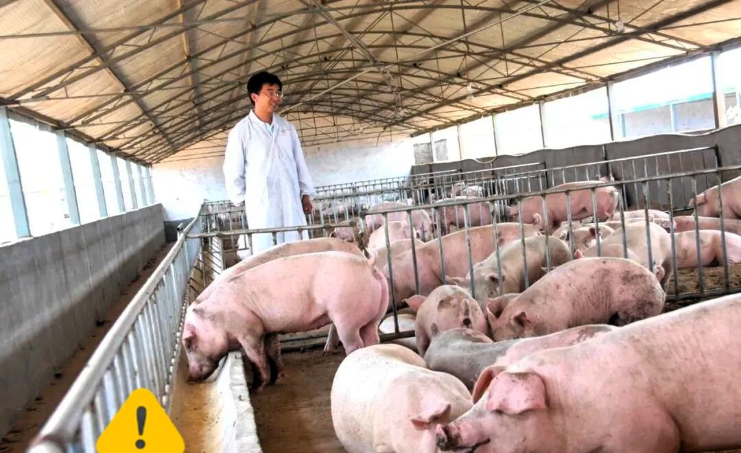 河南企业家王飞自述，为筹建新厂房，卖掉了新蔡县城六套房产。厂房尚未完工，他与妻子