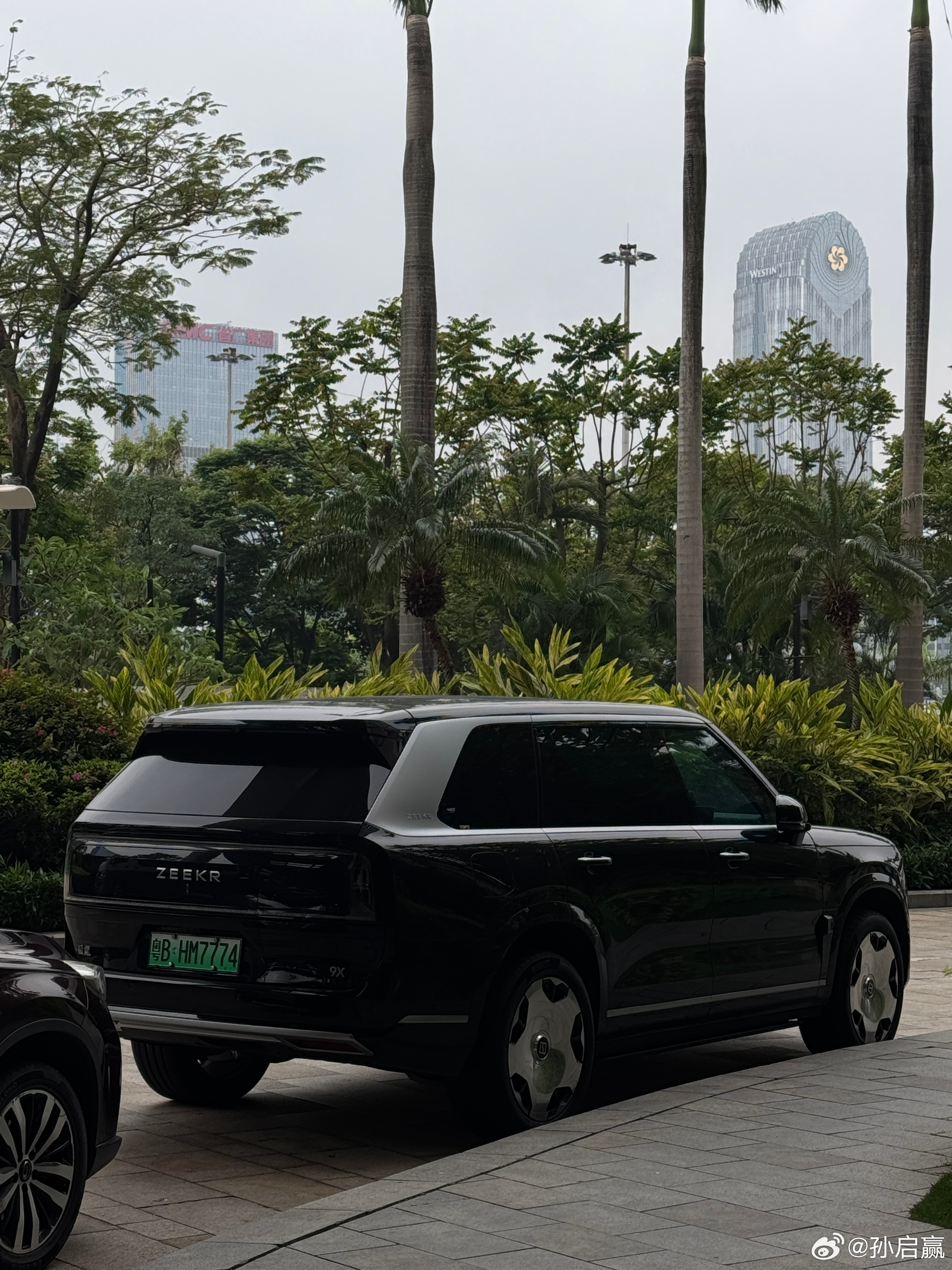 酒店楼下停着一辆极氪9x，最吸引人眼球的就是这套大饼轮，真的是雍容华贵，气场一点