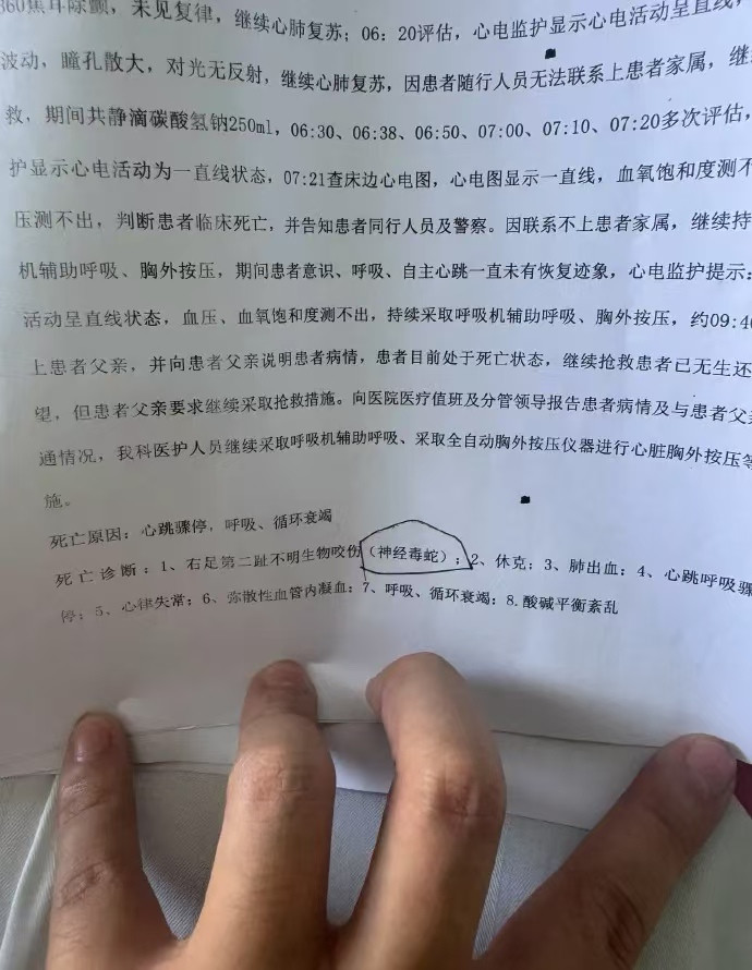 海南三亚被不明物咬伤身亡后游客尸检报告已经出来！