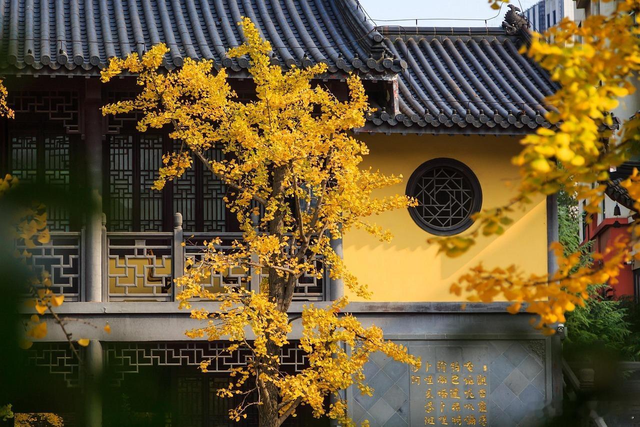 穿越时光隧道，从秦淮河畔到梧桐深处。玄武湖泛舟，鸡鸣寺寻幽，老门东里尝一口桂花糕