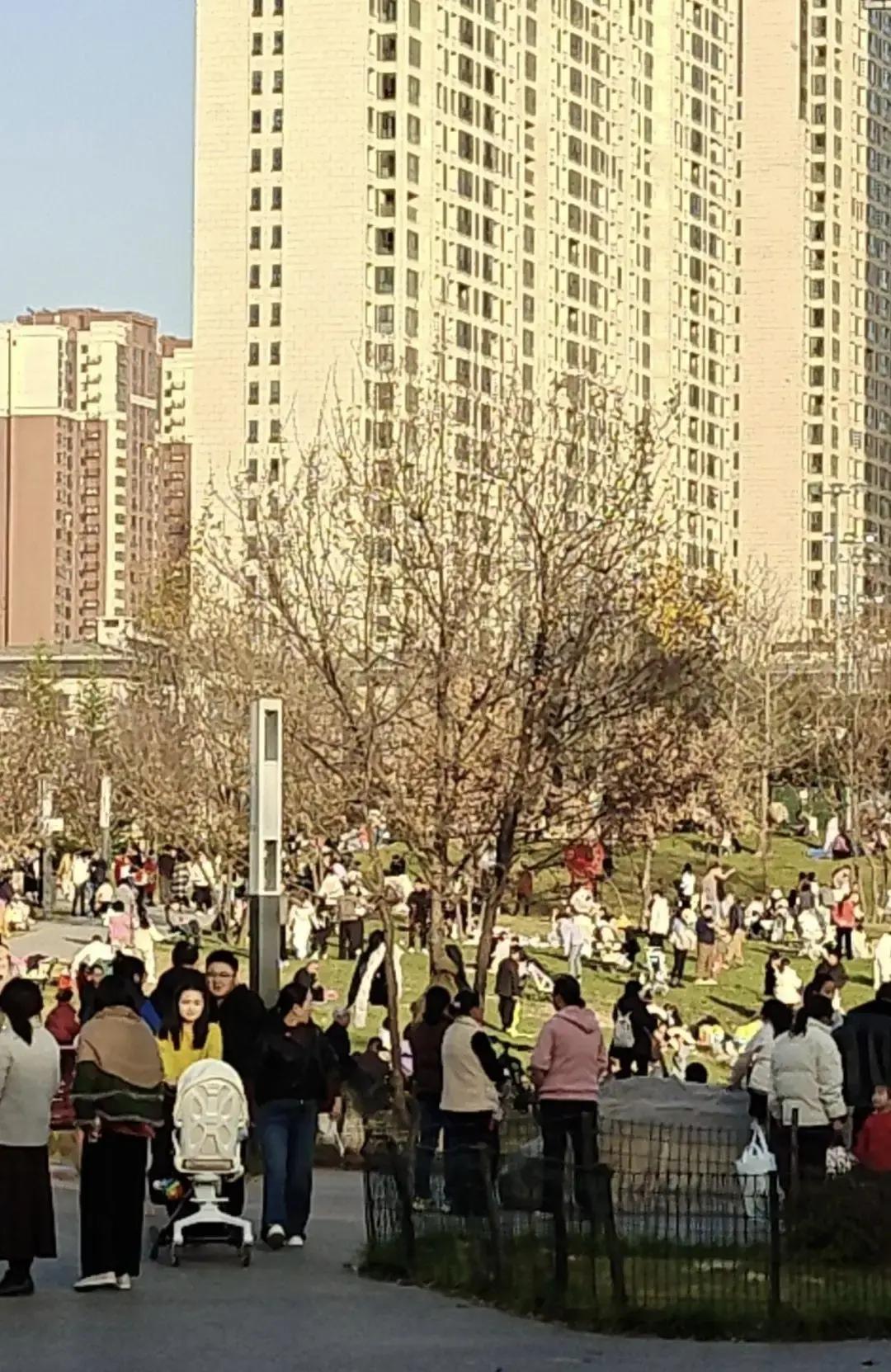 某县教育局把今年幼儿园入园数贴官网，一万二，比去年直接少了一千个小班座位。我老