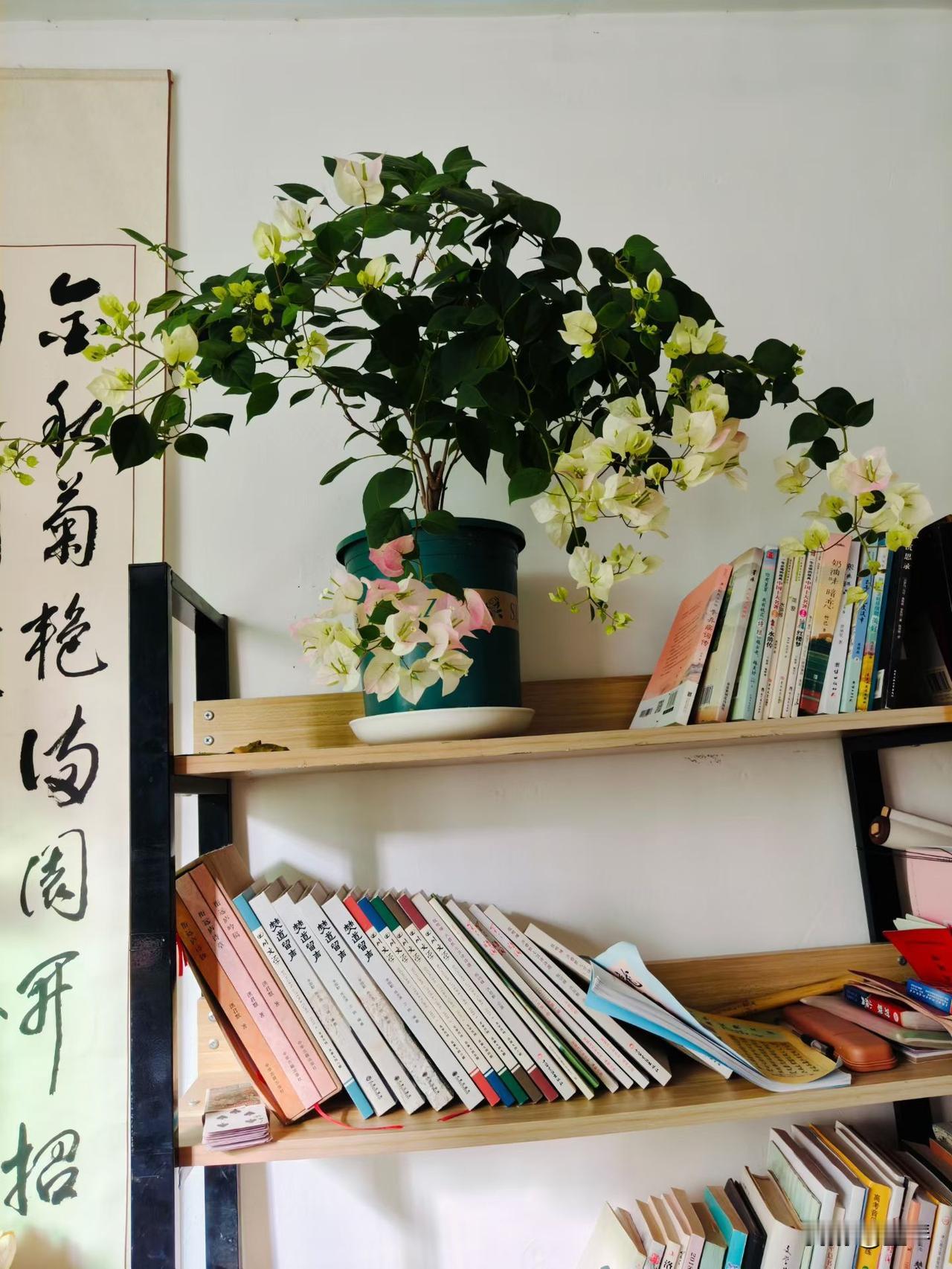 五十多岁才看清，母亲的心里，从来没有我的位置。距离母亲上次来我家，已经