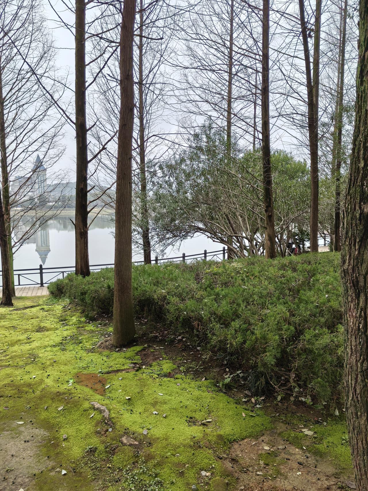 人最不能缺的东西，从生理层面看，营养肯定排前列。像蛋白质，是生命基础，身体生长、