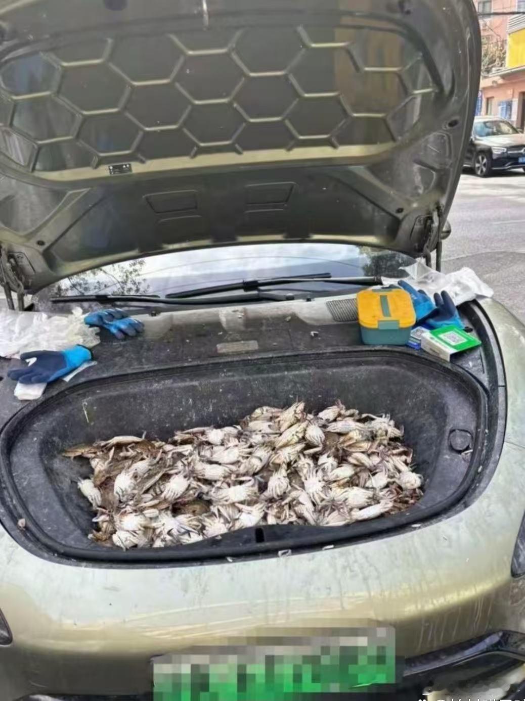 不得不说，这车主是个狠人