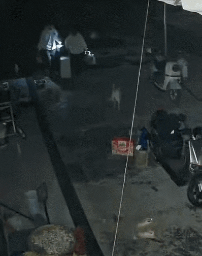 广西，一小伙新年送女朋友回家，起初，还和女友有说有笑，可当他进了女友家院子后，急