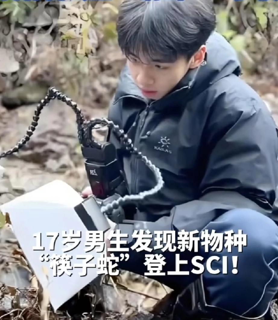 近日，浙江临海市17岁的高三学生胡家豪，发现了新物种“括苍山脊蛇”（俗称“筷子蛇