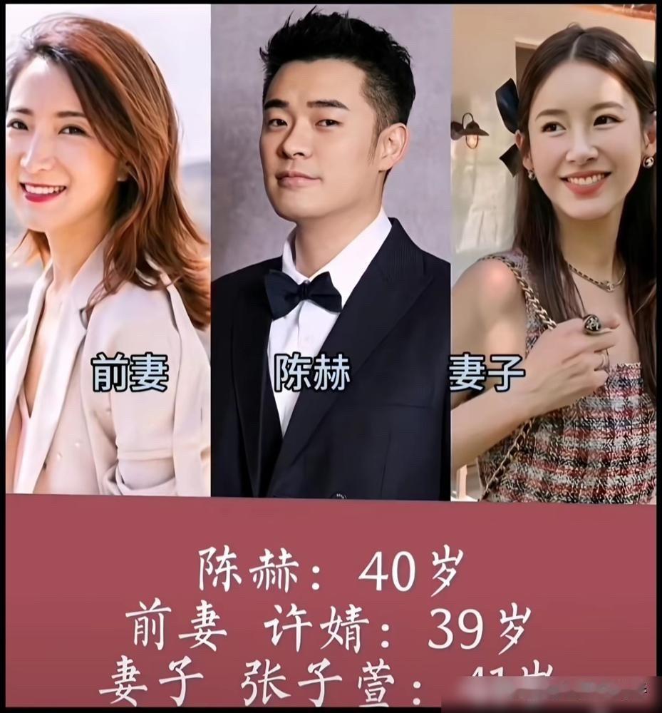 看了黄志忠何音柯蓝、陈赫许婧张子萱、傅程鹏程愫周丽淇这些明星的前任现任，才发现有