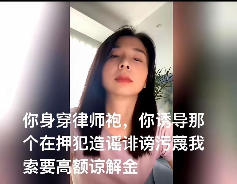 崔女士发视频把矛头对准了对方律师！前两天在法庭上对方律师甩出关键证据——说她