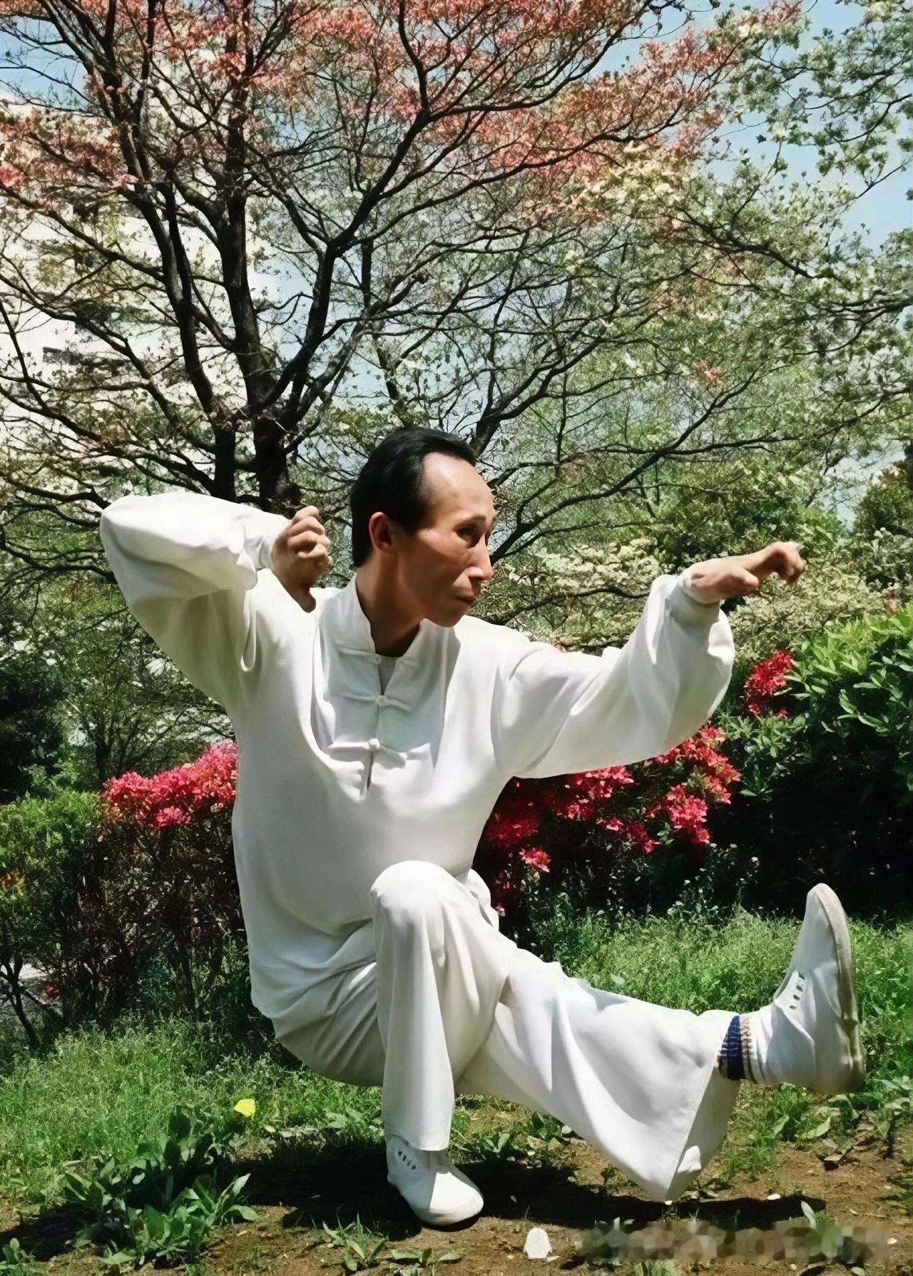 中华武术，中国拳，曾经是多么的辉煌，一代代宗师给我们留下了丰厚的文化遗产。现在