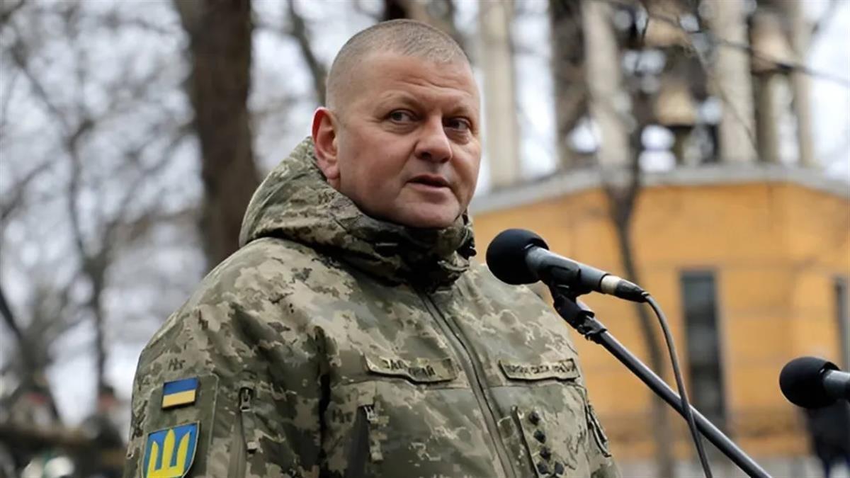 乌克兰新总统基本确定？悬念不大，就看什么时候选了当地时间12月24日，欧洲多家