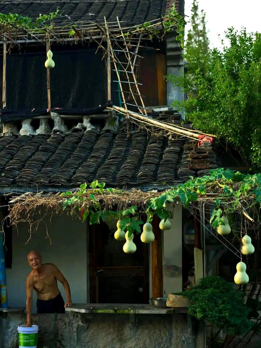 当镜头扫过那间像被时间封住的房间时，浙江的“葫芦爷爷”就站在门口，25年前独女离