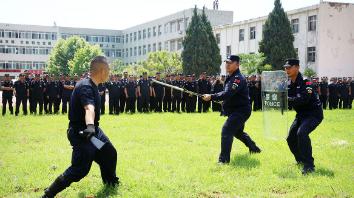 这所院校2024年正式升格为本科层次的陕西警察学院，保留原有专科招生，是陕西唯一