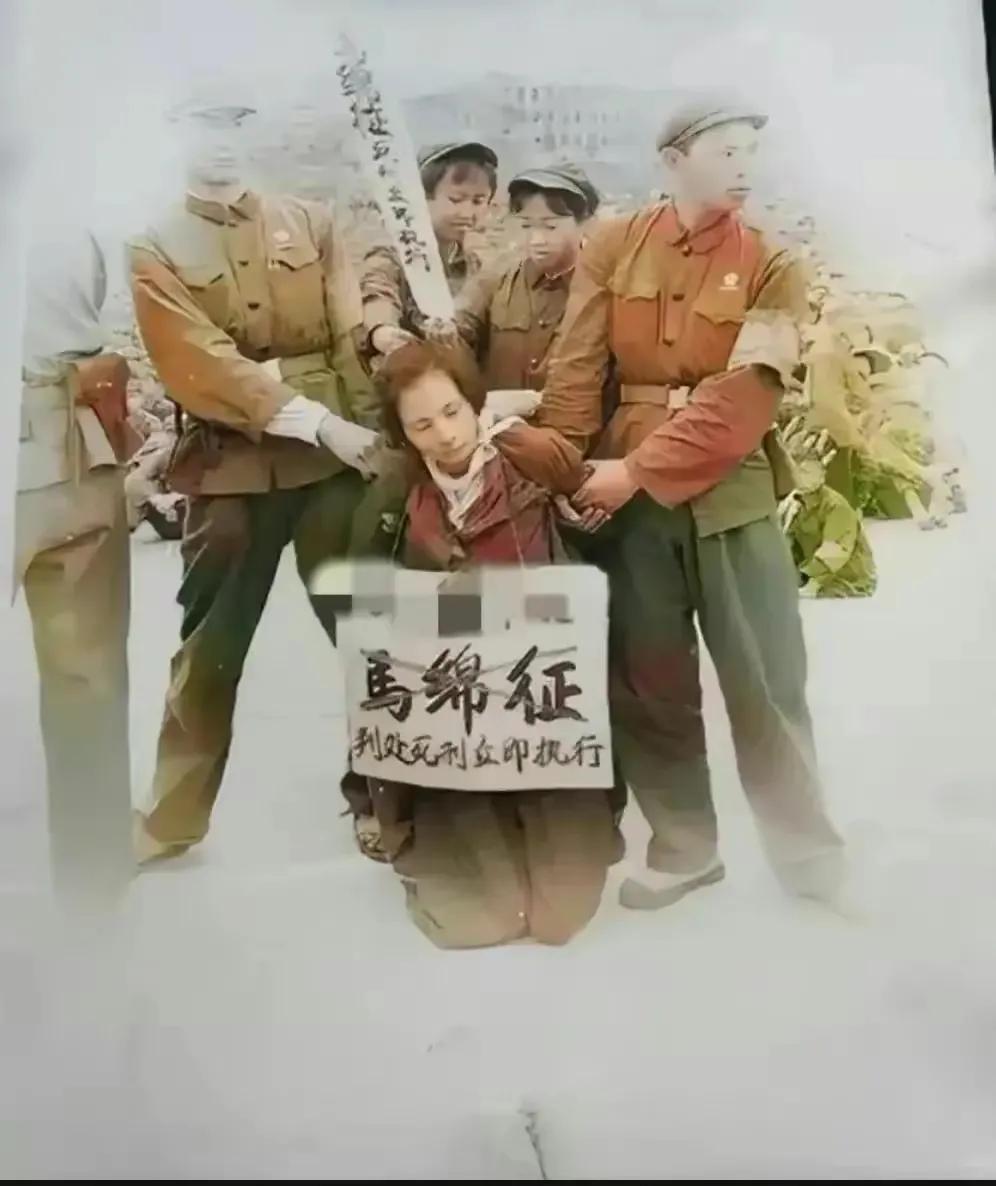 1969年，在南方某地举行的一场公审大会上，一个女死刑犯被押解到台上接受审判，此