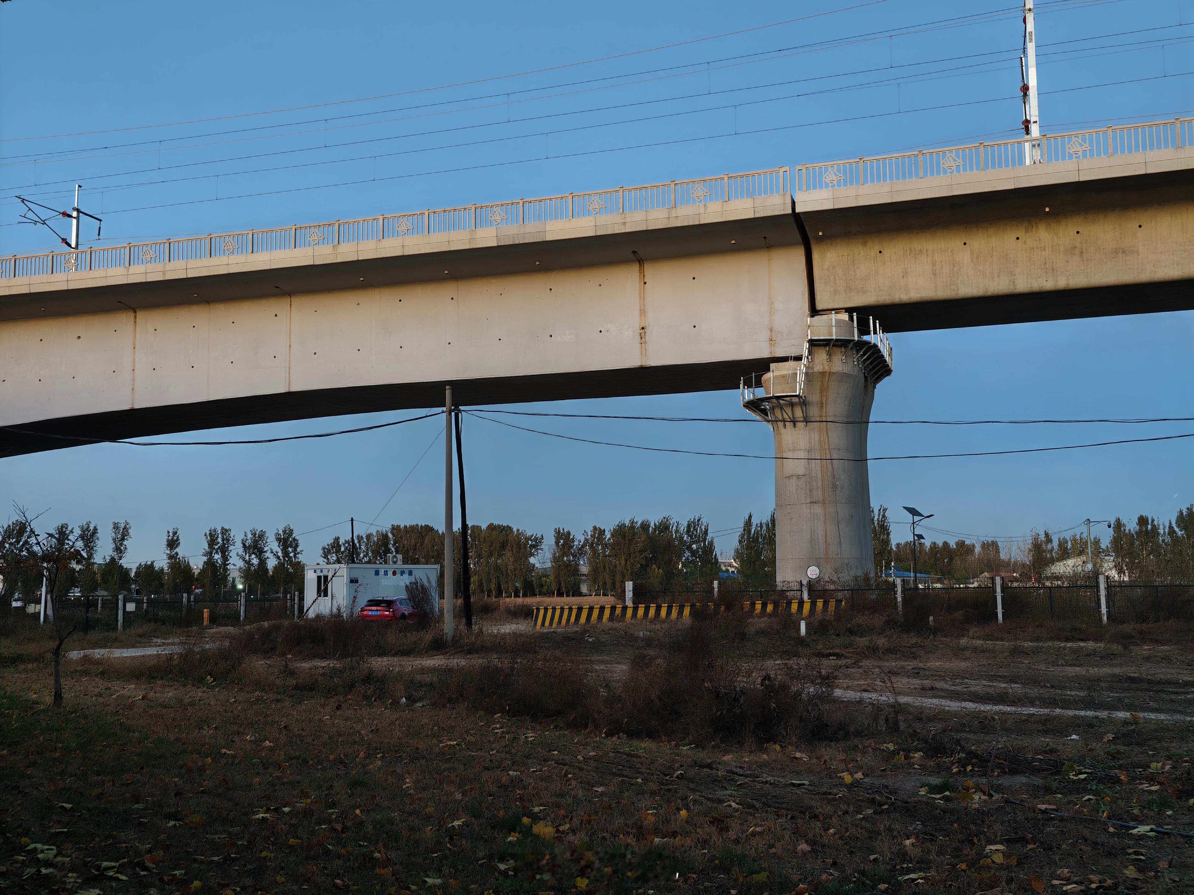 还是不甘心，再一次来到了河北省廊坊市大厂县亮甲台村，这一片高铁高架桥下的庄稼地里