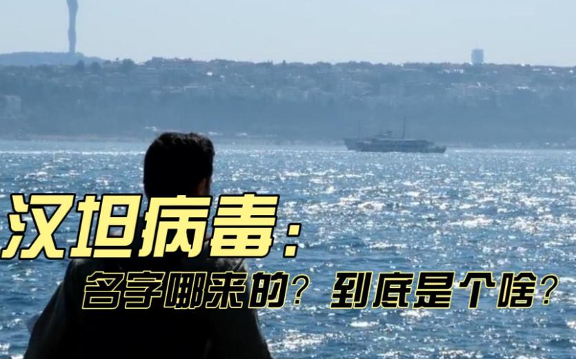 强烈建议：“汉坦病毒”这个名绝不能乱用。在国际舆论场里，很多人都容易忽略一件
