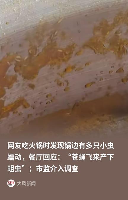 湖北赤壁，女子和妹妹在连锁串串店吃饭，吃完饭后边聊天边赶苍蝇，竟赶出一圈米白色蠕