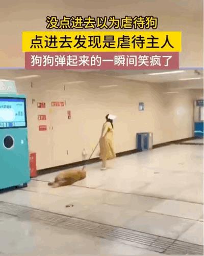 这种妥协就会导致丫每次都这样[狗头]