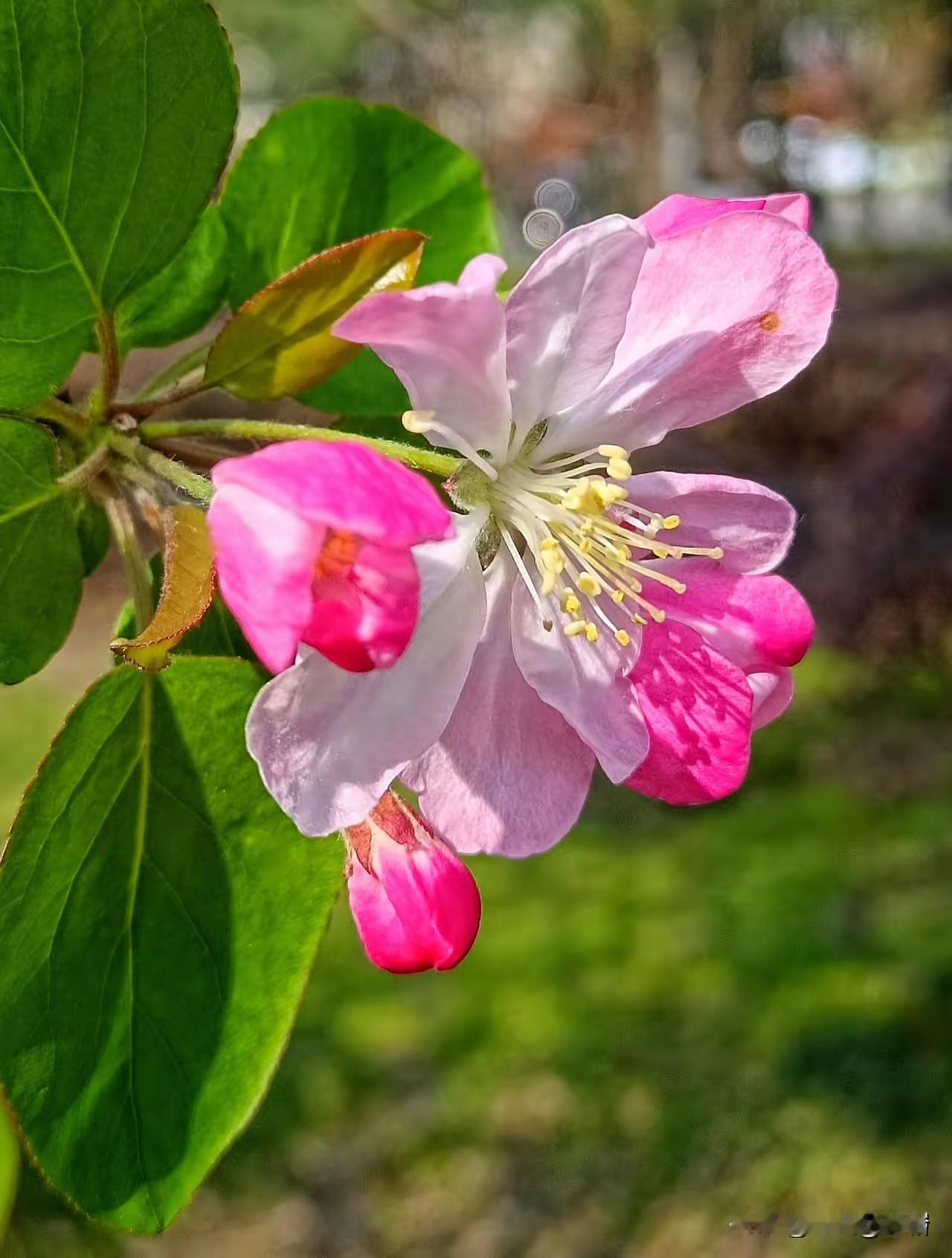 吃透人性潜规则，少走十年弯路1.关系本质：价值交换，无价值则无地位