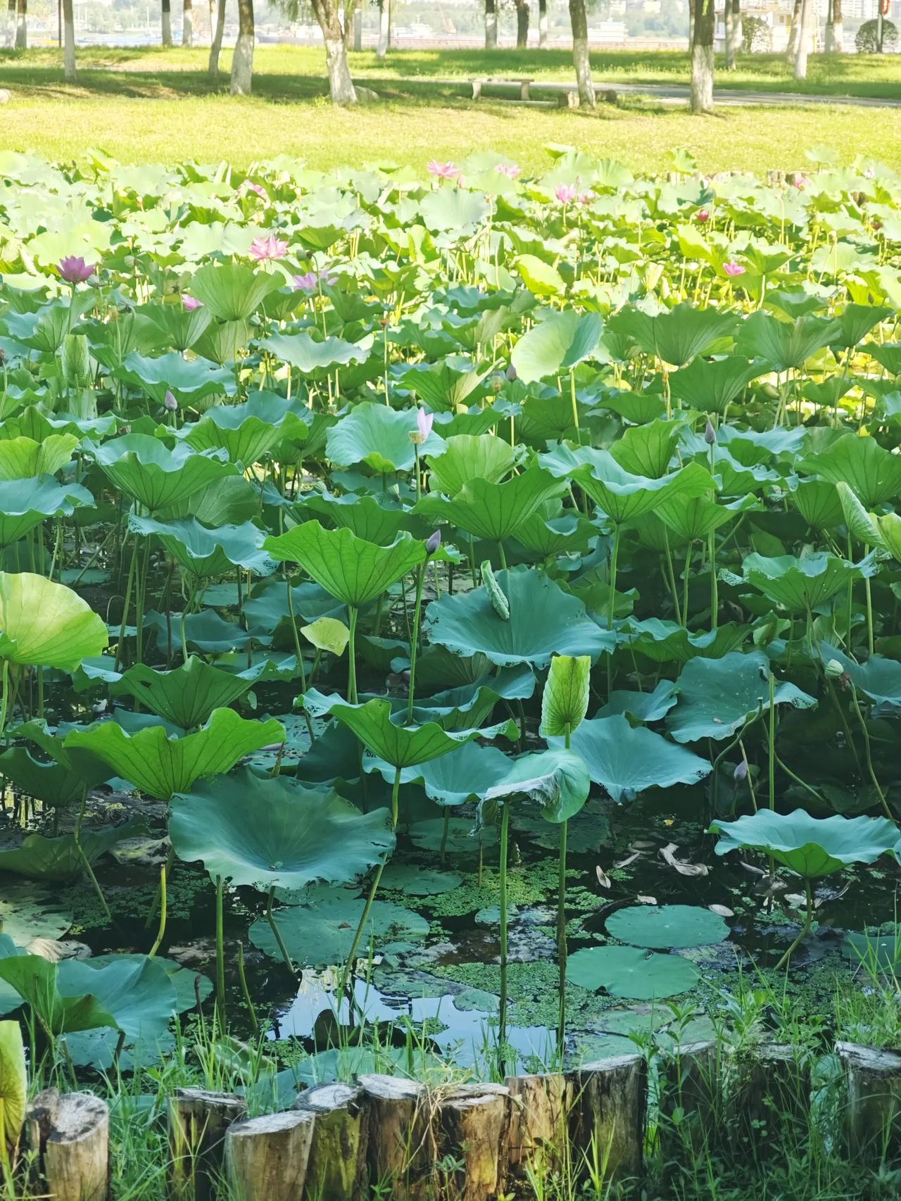AI巨头的回报之路：短期承压，长期价值可期尽管分析师预测阿里巴巴最新季度收入