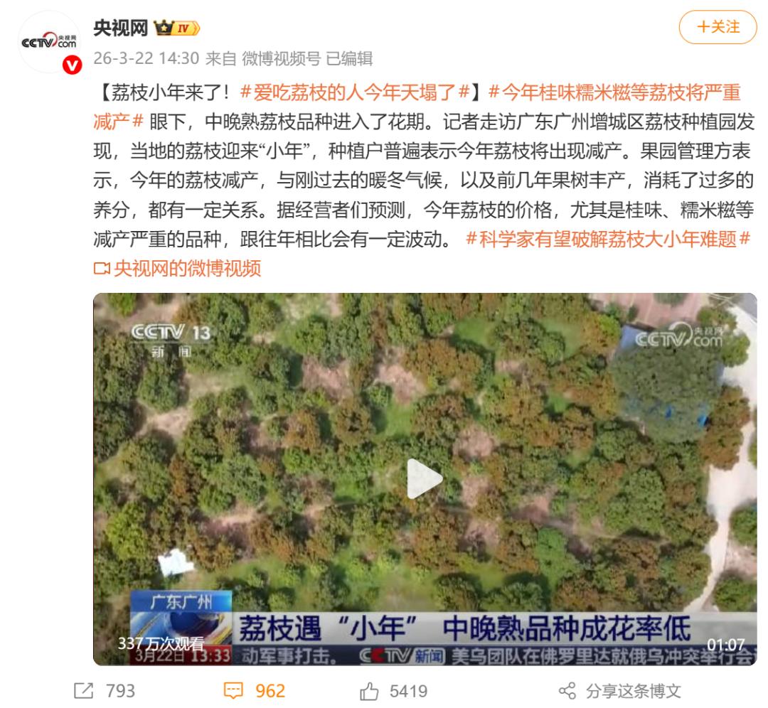 离谱！3.26荔枝自由没了！减产涨价，吃不起了！今年荔枝要上天了！主产区减产