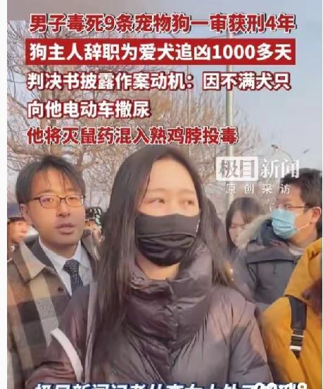 公说公有理，婆说婆有理张谋华做的也够狠，用泡过氟乙酸钠药水的鸡脖子，直接送走了