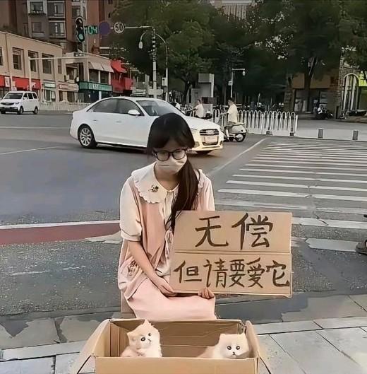 街边免费送猫骗局，签了合同就入坑。刷到有人摆摊送小猫，那人口罩捂得密不透风，显然