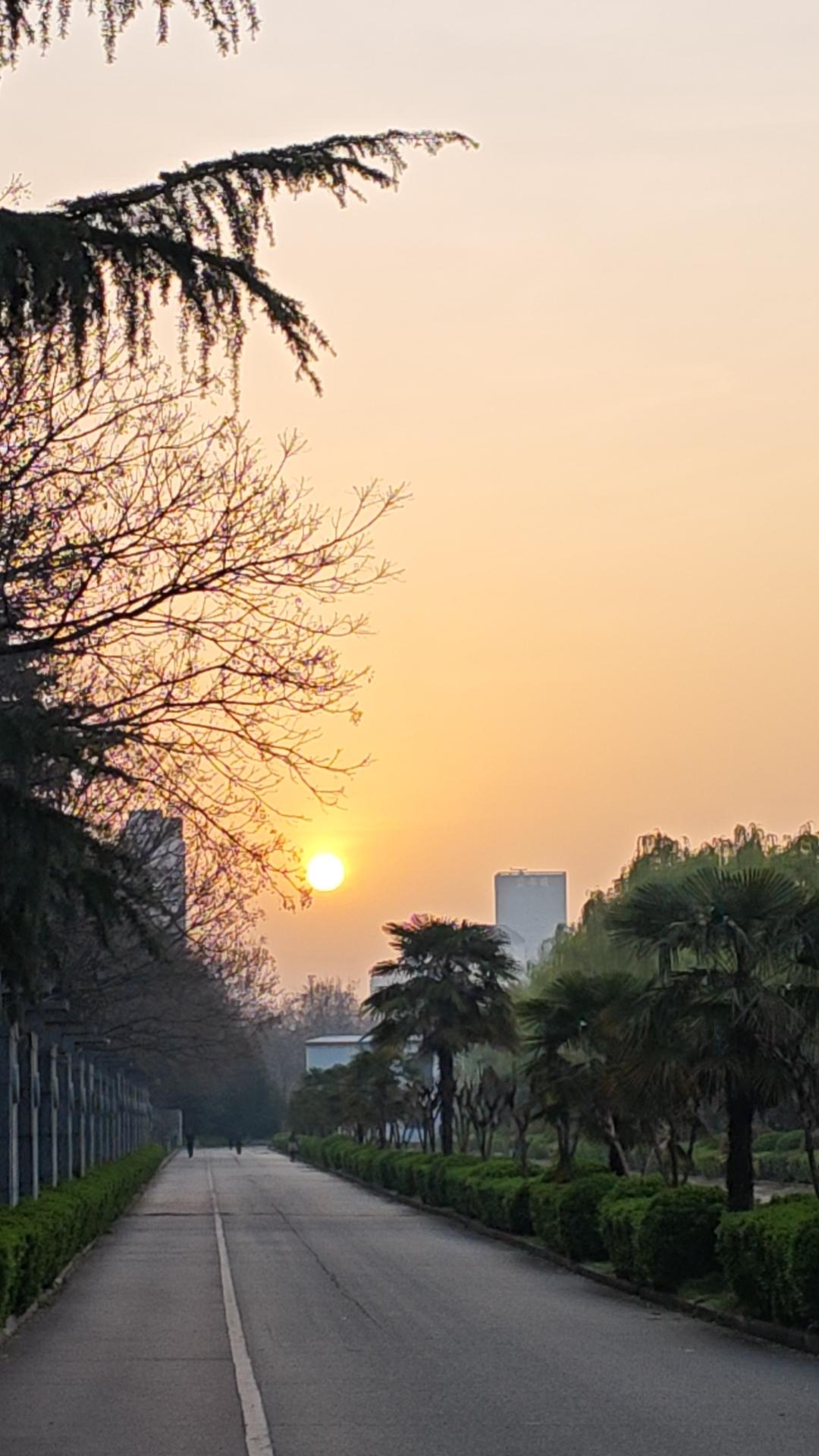 害怕消费者薅羊毛3月25日，市场监管官方网站转发一篇文章，即《外卖大战该结束