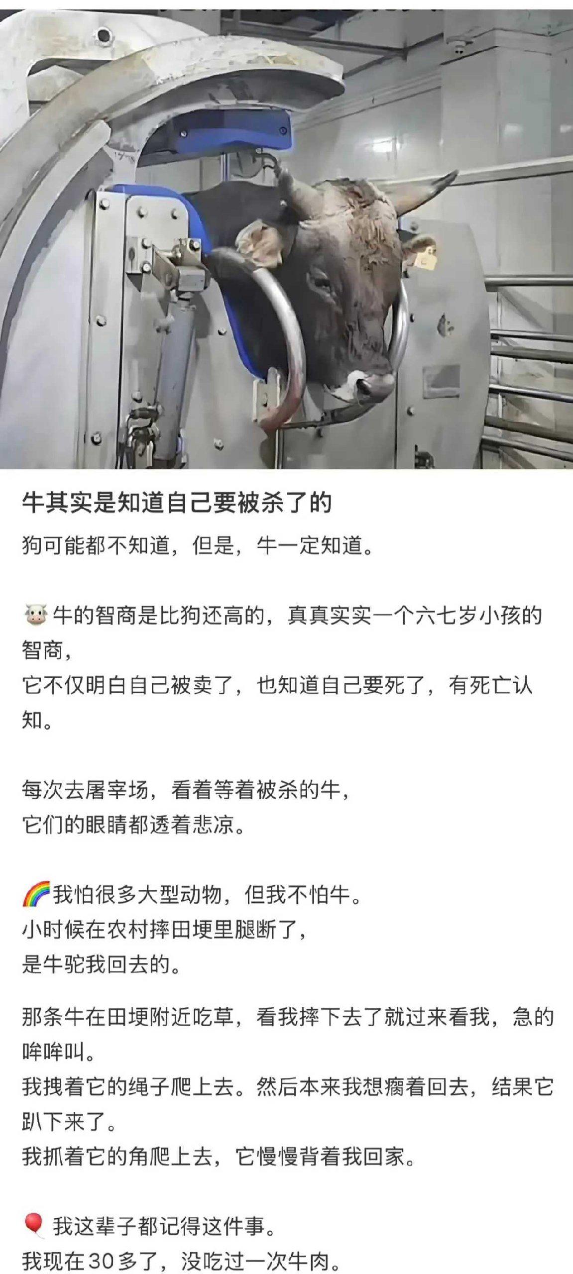 这一刻，牛马自己都知道