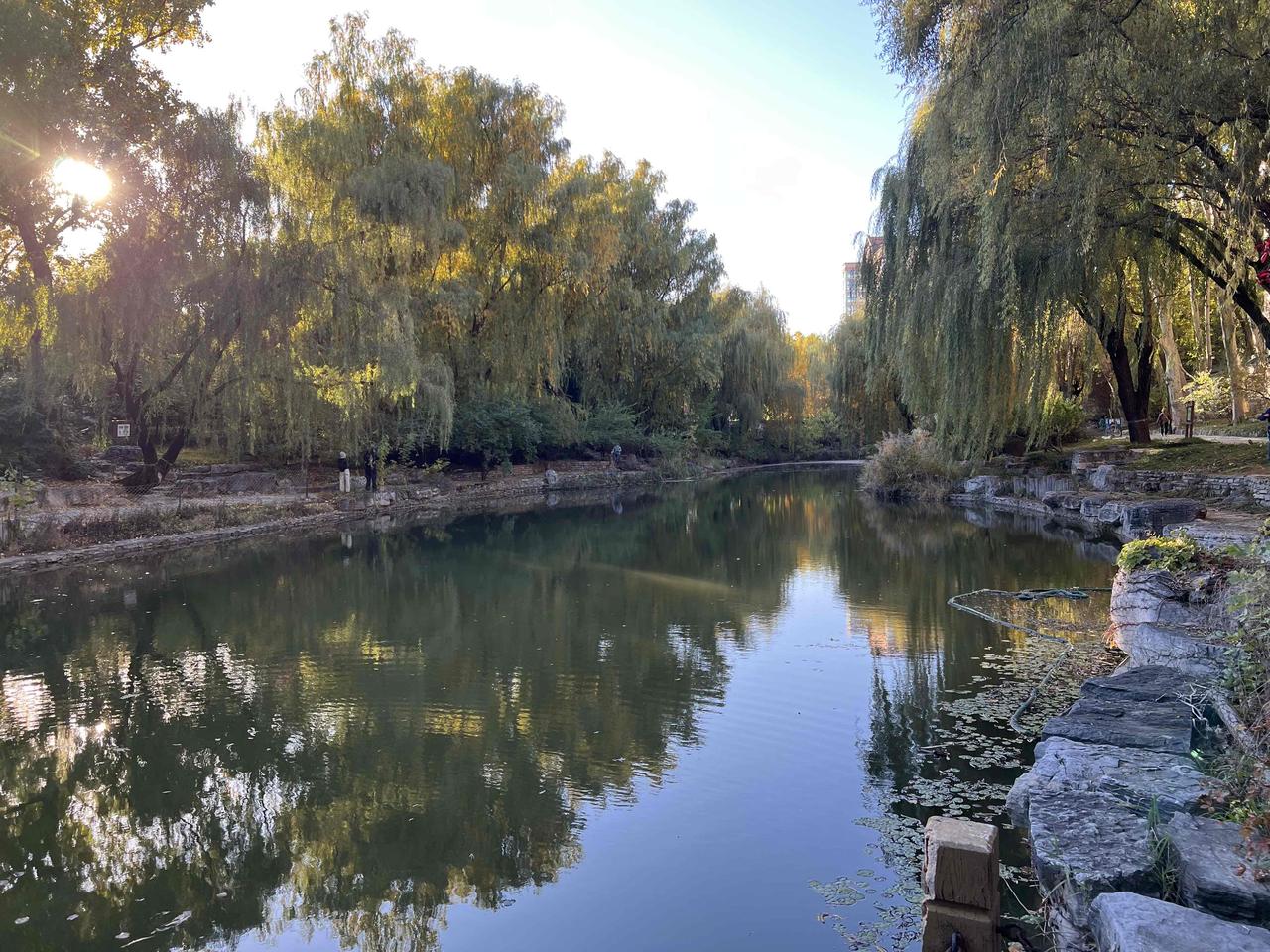 据网上数据显示出生率最低的三位：黑吉辽死亡率最高：黑辽吉