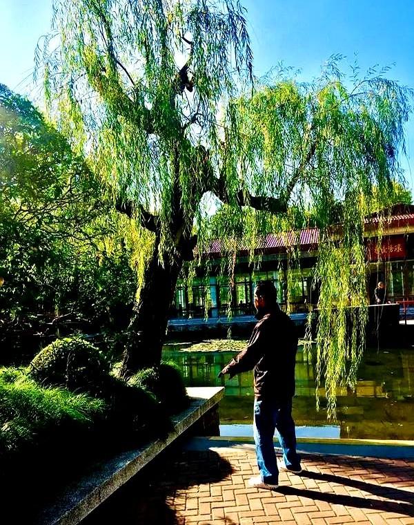 你可能会觉得，站桩不过是个老派的养生方式，可实际上，它隐藏的身心奥秘远超你的想象