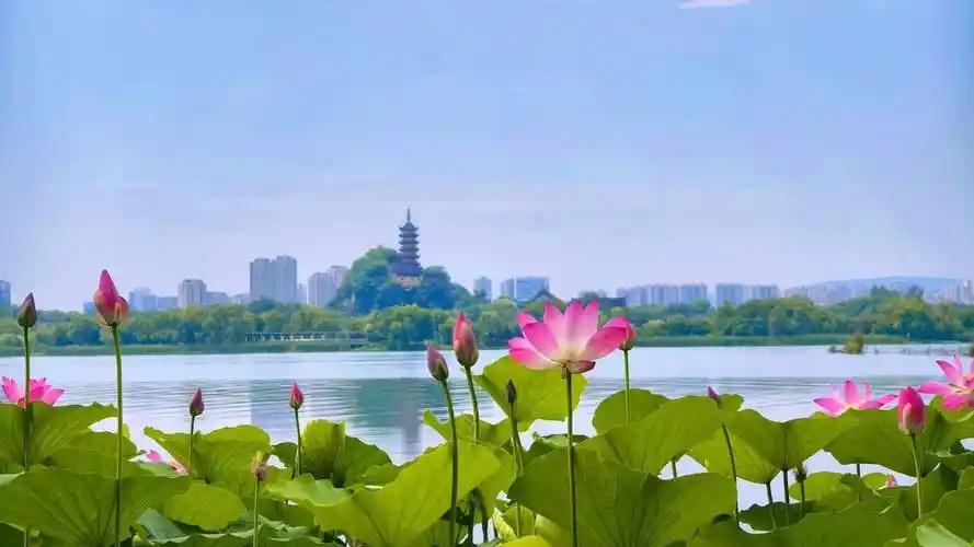 小学生竞选班干，班主任一周不敢公布结果，原因竟是……外孙女上周末回家，郑重宣