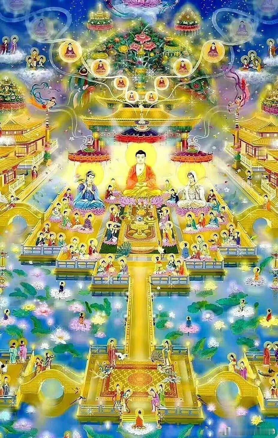 传喜法师说:唯心净土，自性佛国。佛陀果地的世界、极乐净土才是我们的终极归处。