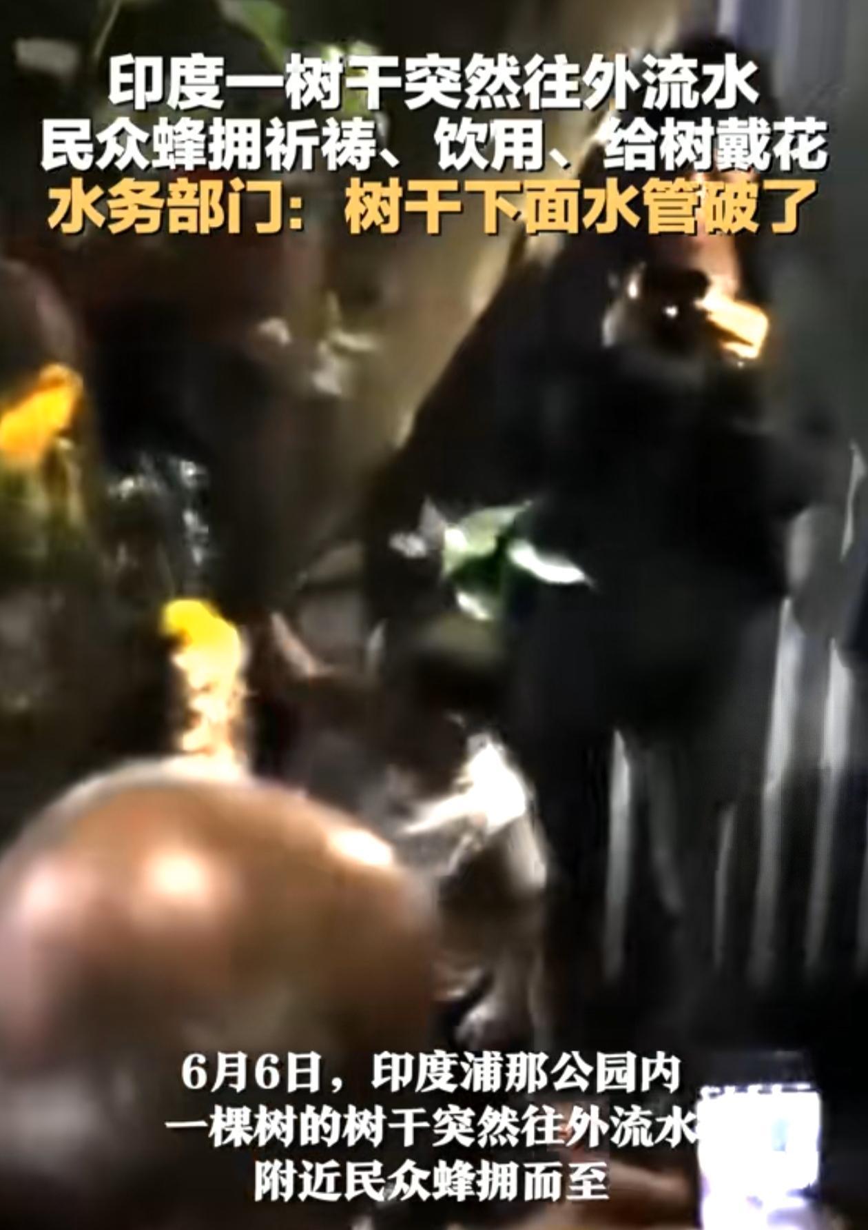 印度浦那公园内一棵树的树干突然往外流水附近民众蜂拥而至，祈祷、饮用、给树戴花相信