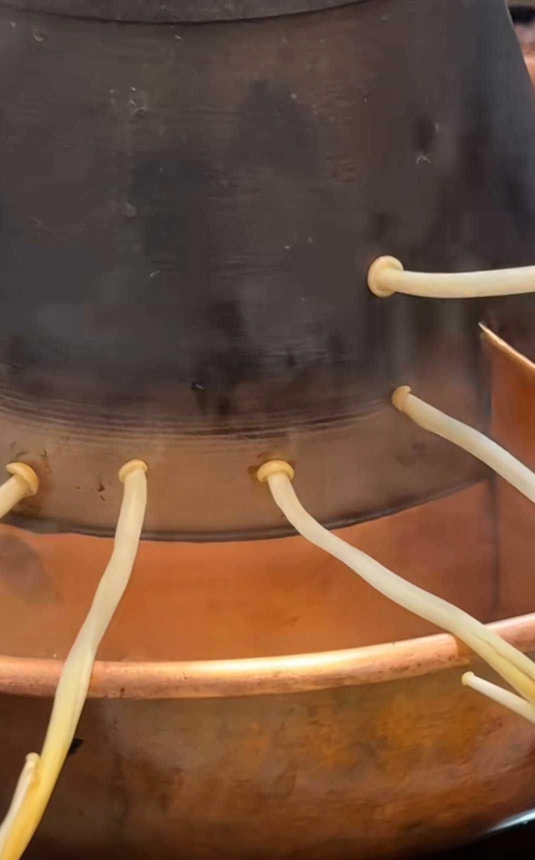 哈哈哈，原来烤金针菇真的会唱歌。。。网友：把你的手指放上去它也会唱歌