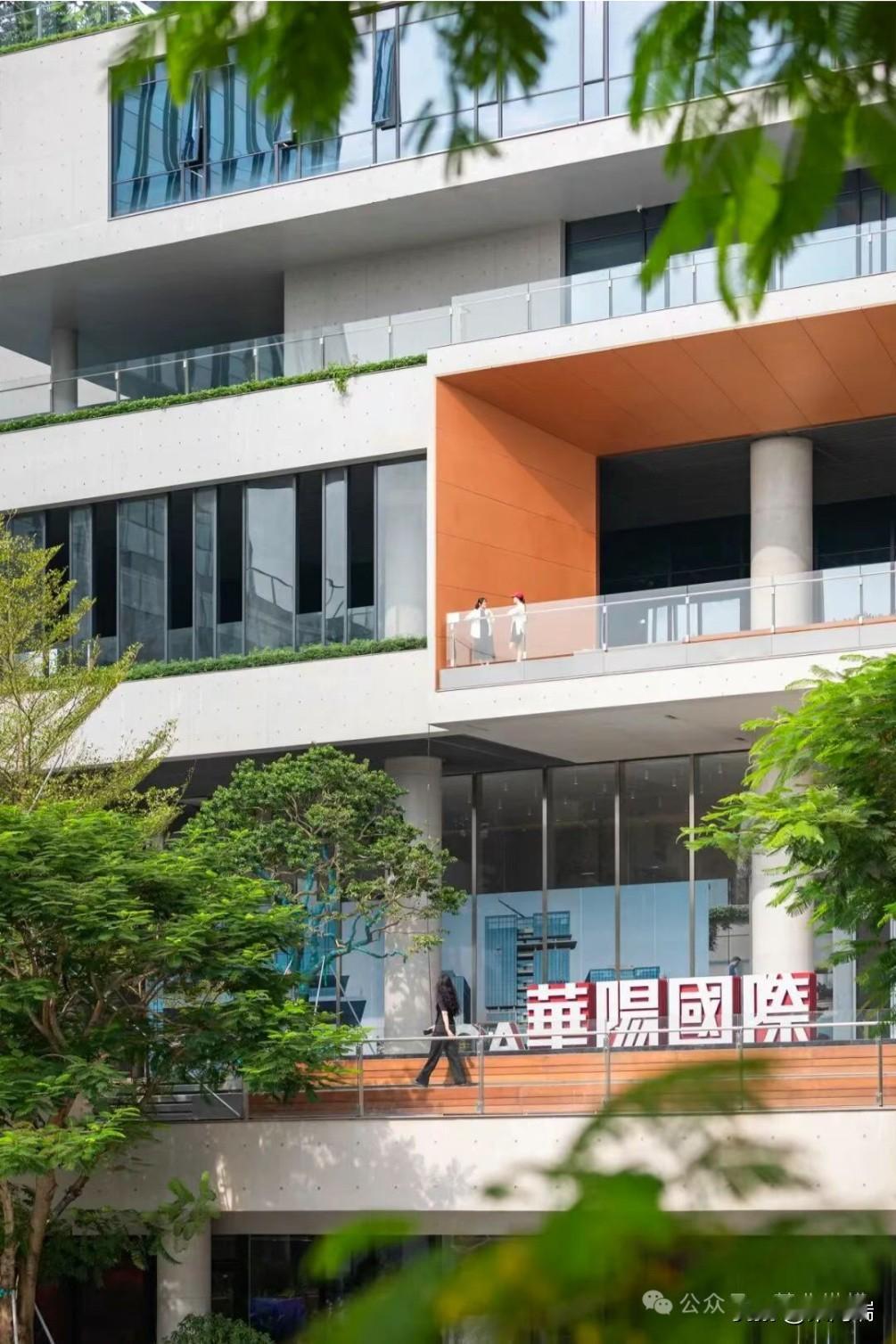 听说深圳某设计院转型做短剧，半年营收一个多亿。这一传闻属实。传闻中的主角是深