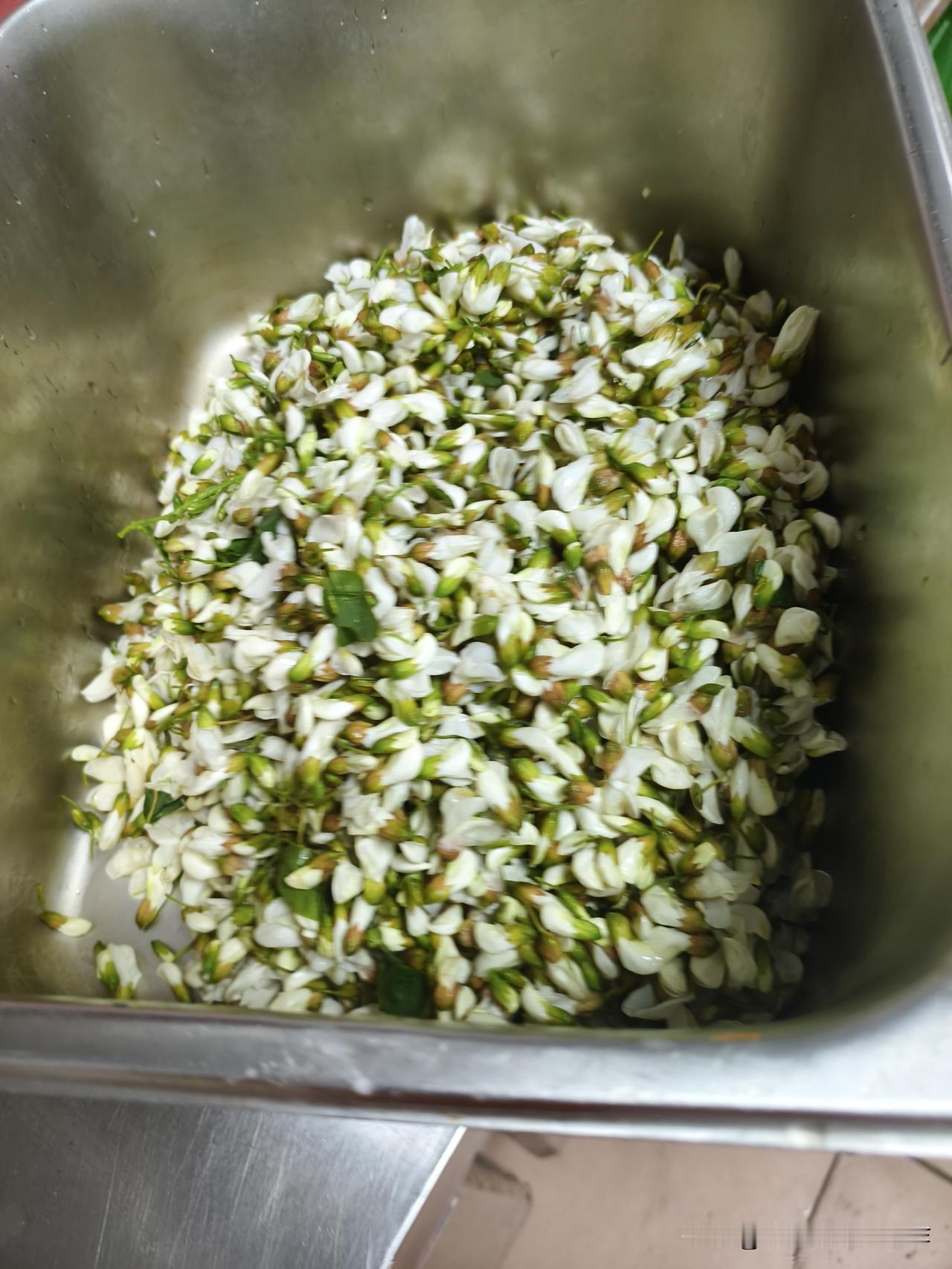 亲家从河南老家寄来的槐花，让我这个“菜鸟”给嚯嚯的成咸菜了！给大家看看我嚯嚯