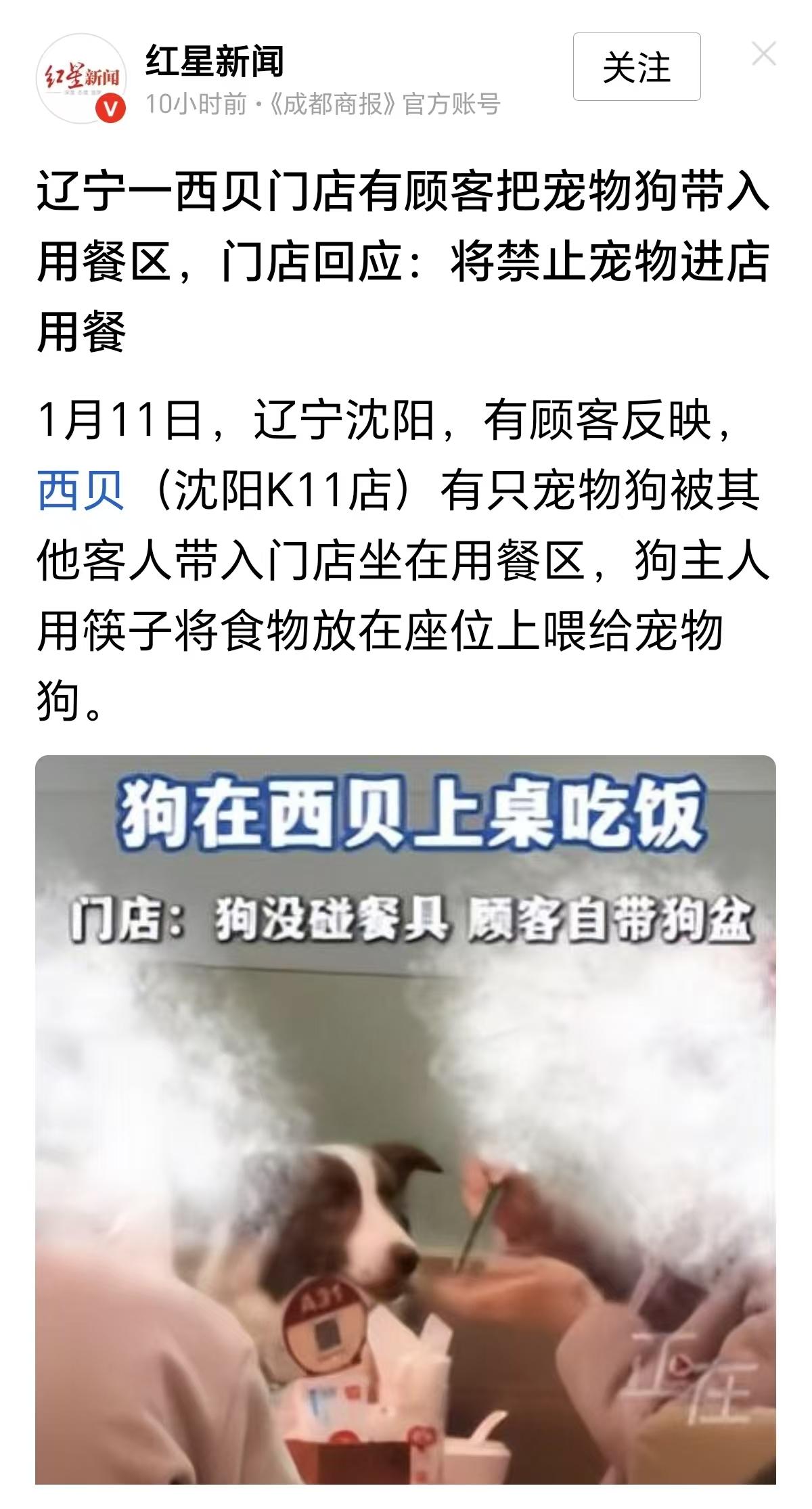 “认个错有那么难吗？”西贝某门店内，有顾客把宠物狗带进去了，让它坐在座位上用筷子