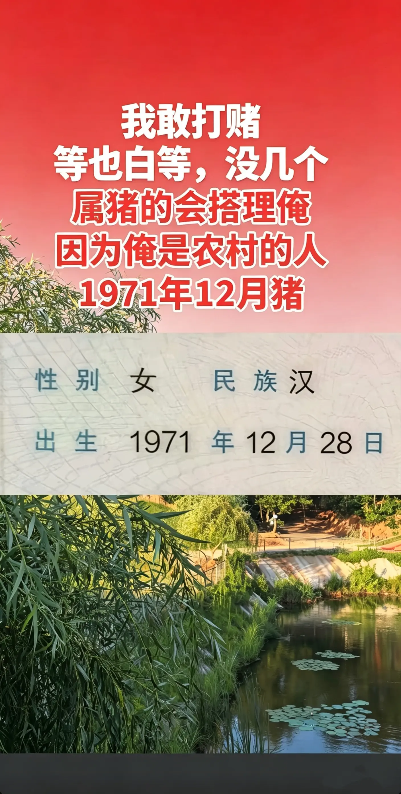 1971年属猪，虚岁56岁了，转眼间就老了，愿我们余生都平安健康快乐！