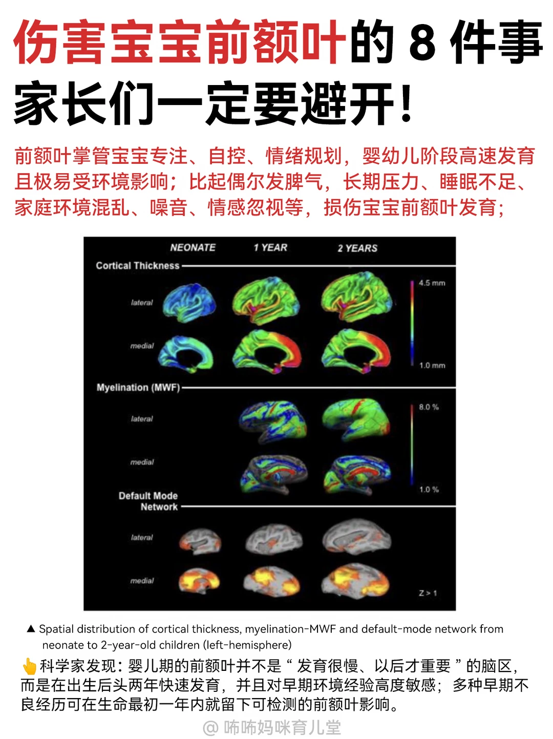损伤前额叶的8件事，新手爸妈一定要避雷